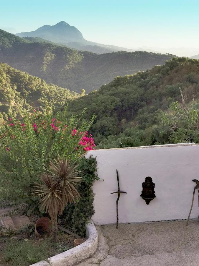 Naturaleza Y Arte En La Casa Del Molino Genalguacil Buitenkant foto